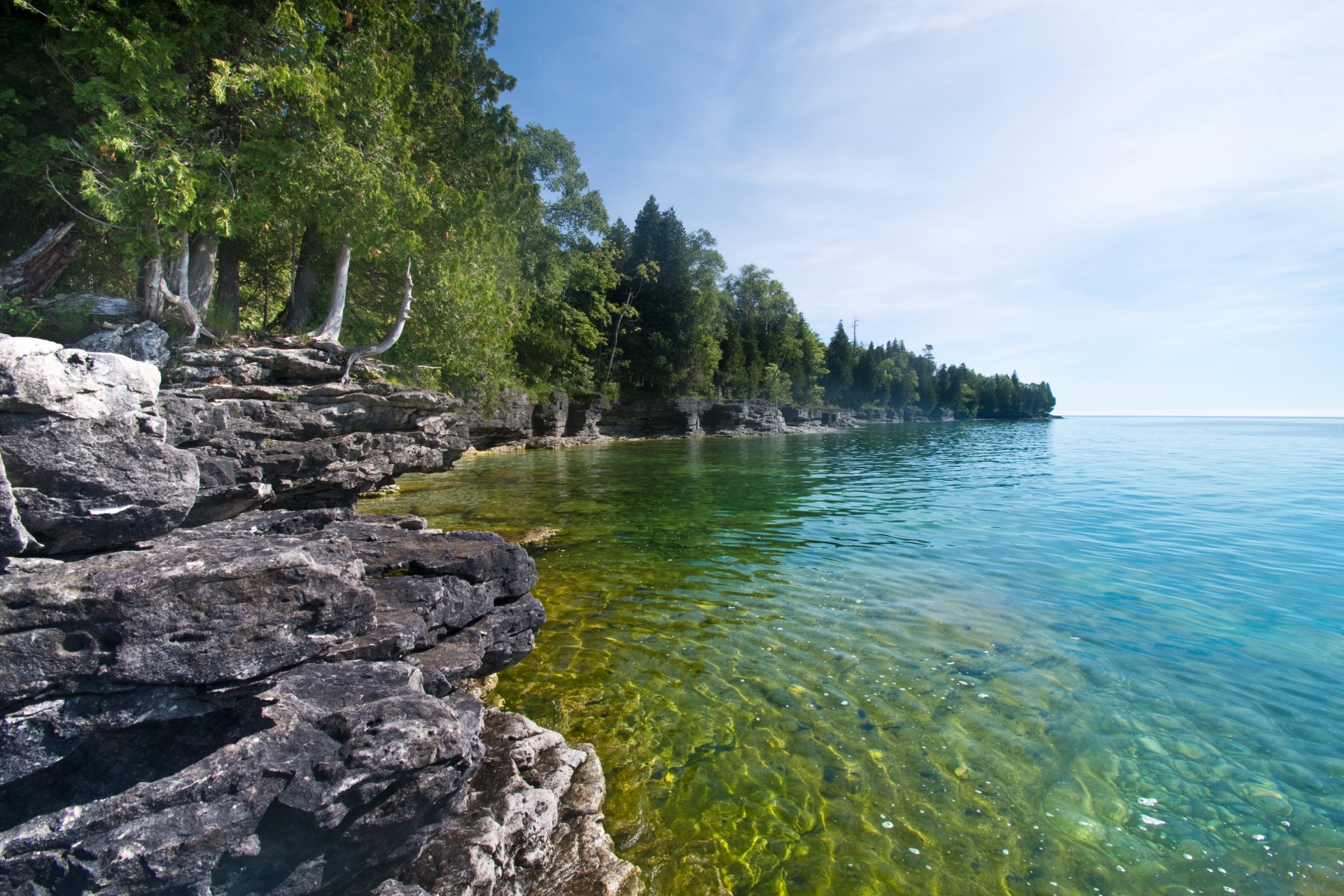 Lake Michigan in summer — clear green water along the cedar shoreline