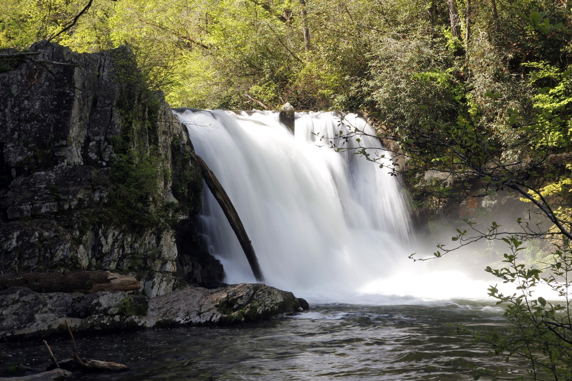 Abrams Falls pouring over its ledge into the pool, framed by Smokies forest