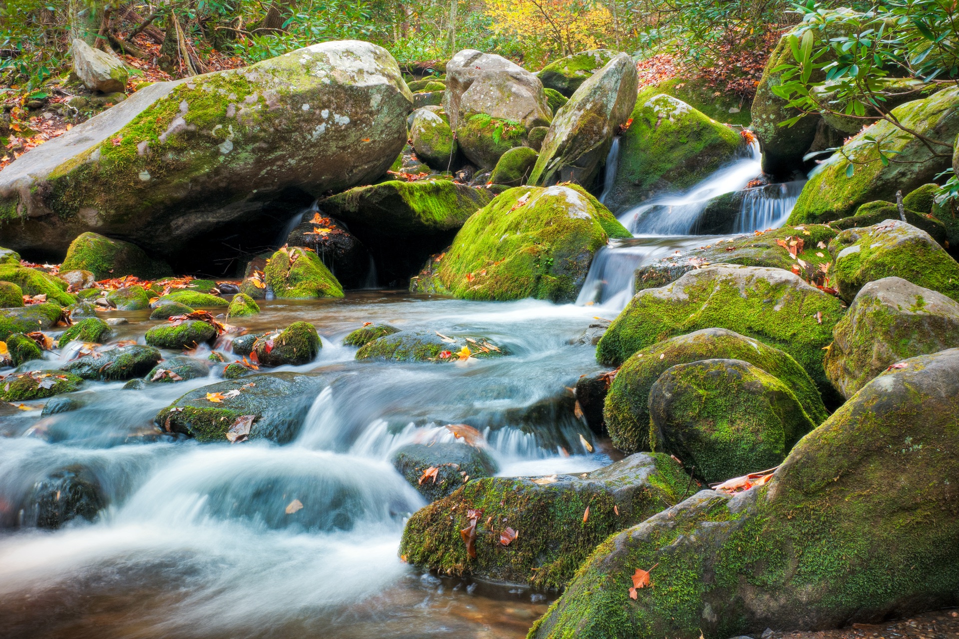 The Little River in summer — clear cascades over moss-green boulders