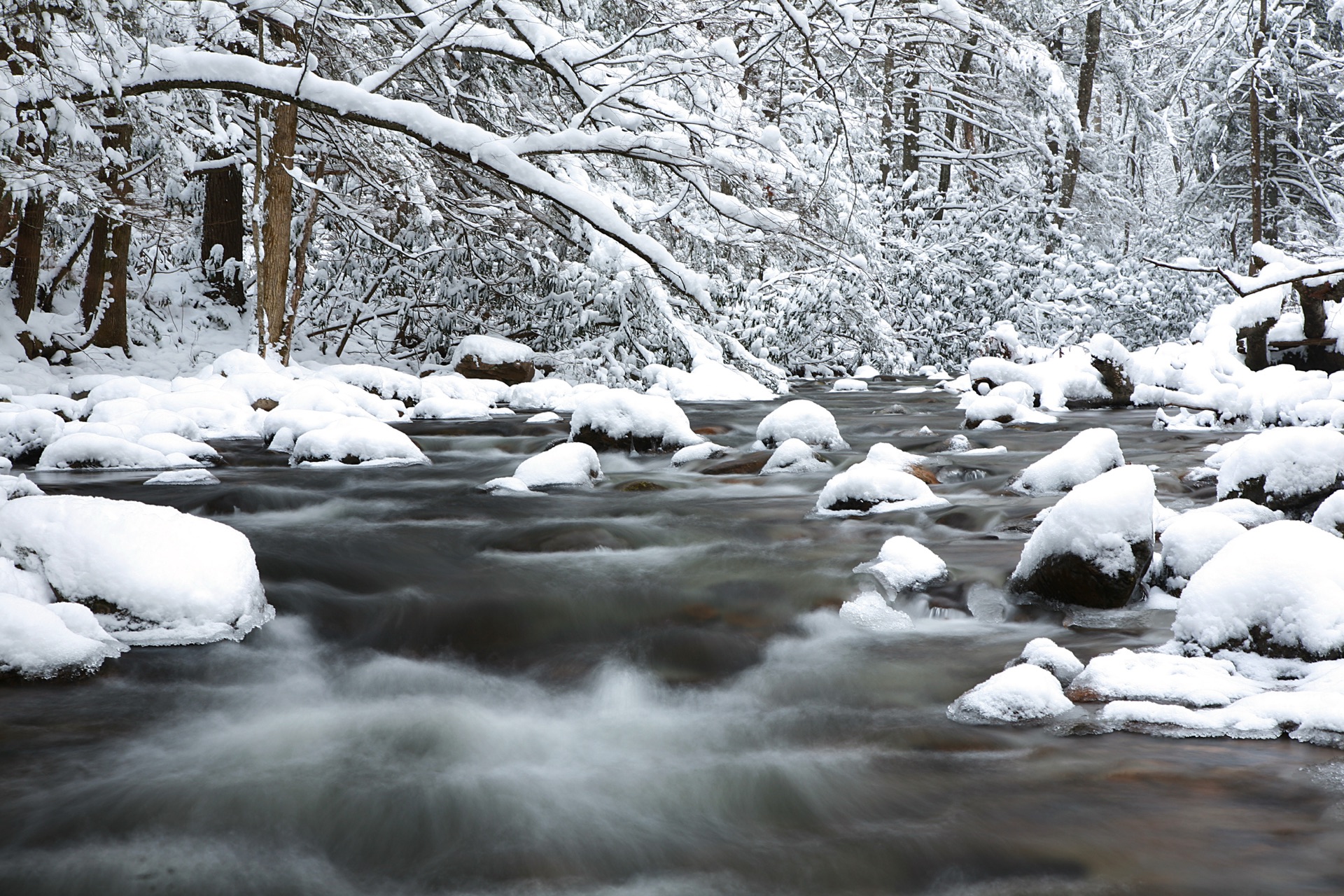 The river under fresh snow — dark water through a white winter forest