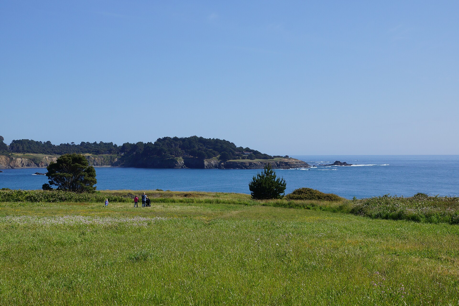 Spring-green headland meadow above a cove on the Mendocino coast